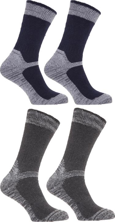 Actual product image Universal Textiles Work socks Socks with reinforced toe area 4-pack (pack of 4, 40, 41, 42, 43, 44, 45, 46, 47)