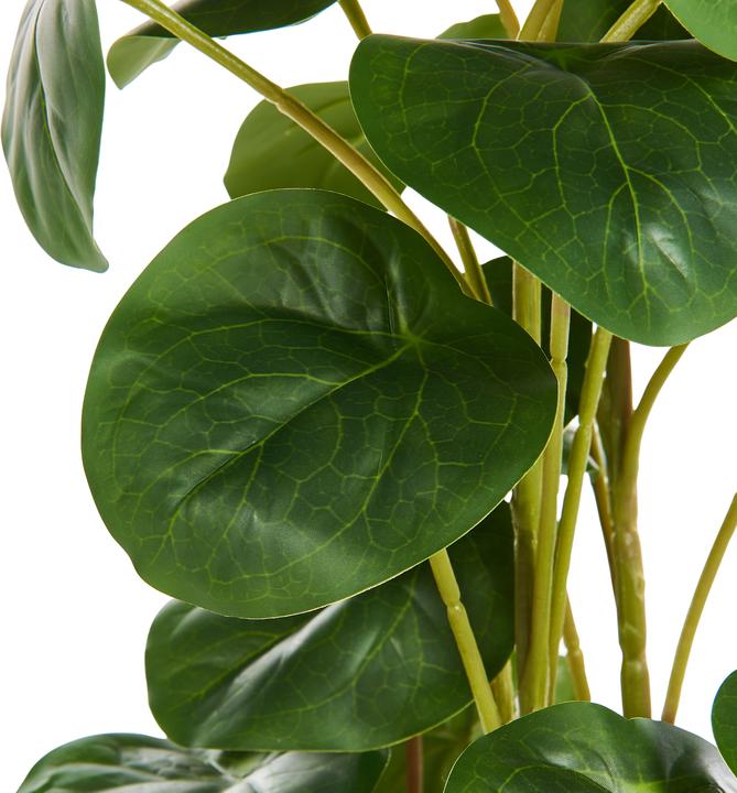 Immagine prodotto Beliani Kibeti (55 cm)