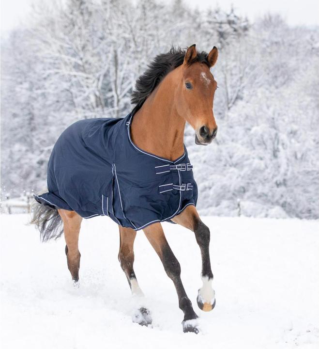 Actual product image Waldhausen Outdoor blanket Economic Fleece 100 g (135 cm)