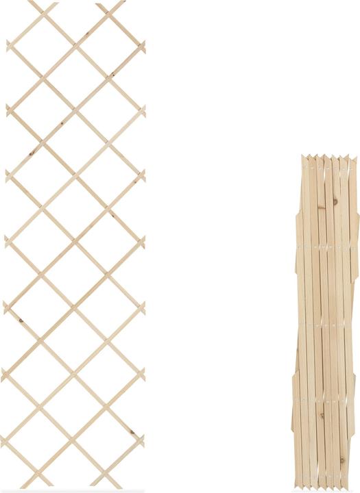 Actual product image Relaxdays 3x trellis (1 cm, 60 cm)