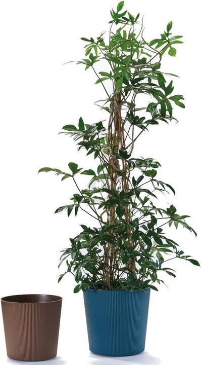 Produktbild Euro3plast Blumentopf Fyre Ø 25 cm rost Greener