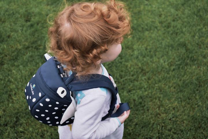 Actual product image Littlelife Toddler Backpack (2 l)