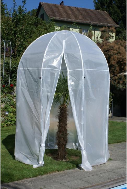 Immagine prodotto Colibri Premium Palm House