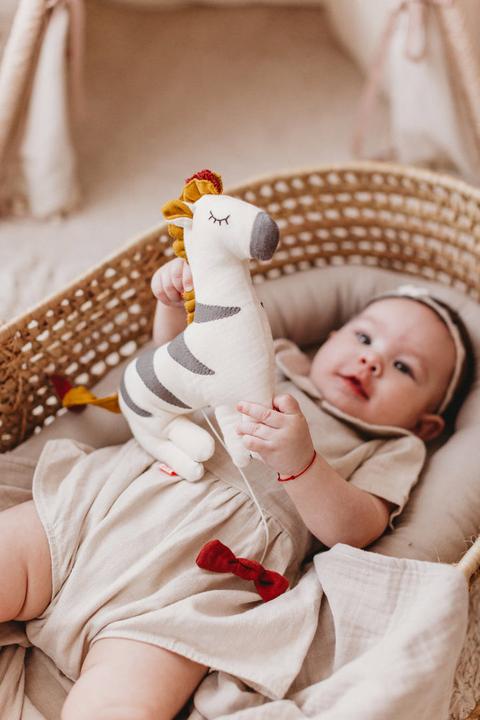 Immagine prodotto Kikadu Zebra del carillon