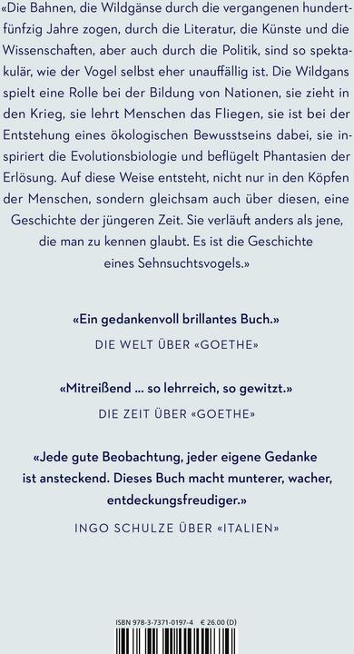 Actual product image Rauschen in der Nacht (German, Thomas Steinfeld, 2025)