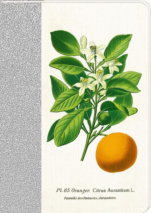 Produktbild Notizhefte DIN A6 Sammlung Augustina (A6)