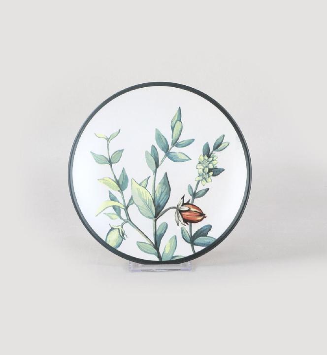 Produktbild Hermia Heath (1x)