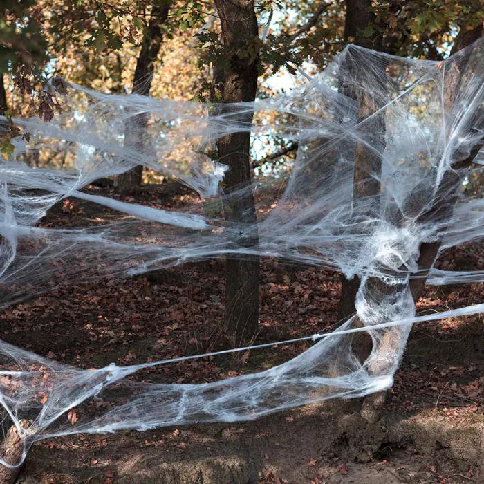 Actual product image Boland Spider Web with 25 Spiders (25 pcs.)