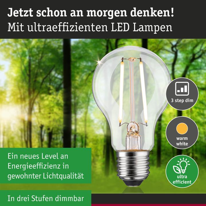 Produktbild Paulmann AGL Eco-Line (E27, 2.50 W, 470 lm, 1 x, B)