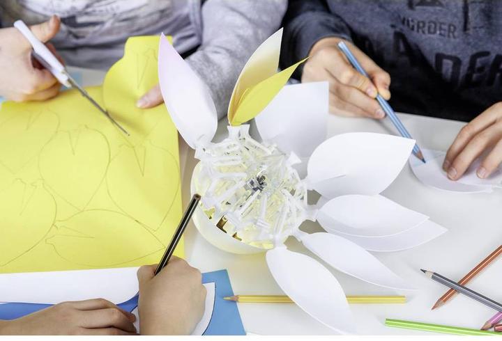 Actual product image Festo Bionic Flower