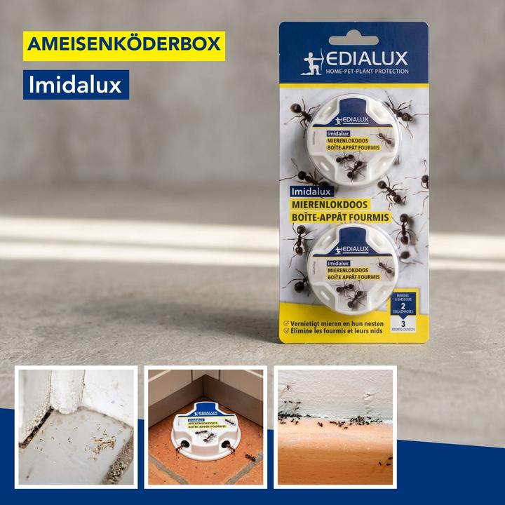Produktbild Edialux Imidalux Ameisenköderbox mit Gelköder gegen Ameisen und Nester, Insektizidköder für Innen-