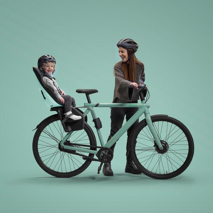 Actual product image Thule Yepp Nexxt 2 Maxi FM (Luggage carrier (rear), Seat tube)