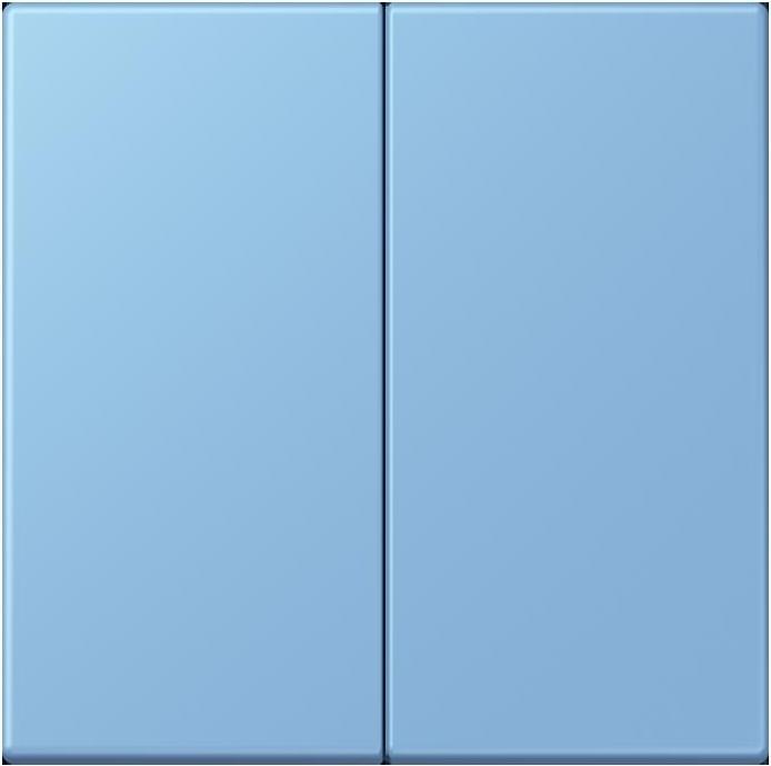 Actual product image JUNG Control button