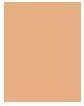 Nährwerte und Zutaten Shiseido Synchro Skin Rad Lifting Fond de Teint No 360 (360 Citrine)