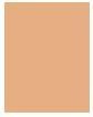 Nährwerte und Zutaten Shiseido Synchro Skin Rad Lifting Fond de Teint No 360 (360 Citrine)