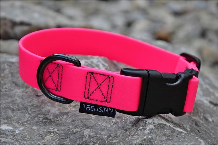 Immagine prodotto Treusinn. Collare per cani Biothane STAY (S, Cane, Generale)
