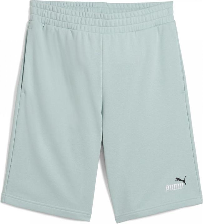 Actual product image Puma ESS 2 COLOR No. 1 Logo Shorts 10" TR (L)