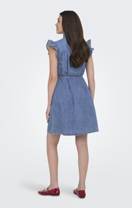 Actual product image Only Onlshania S/L Frill Dnm Dress Akm (L)