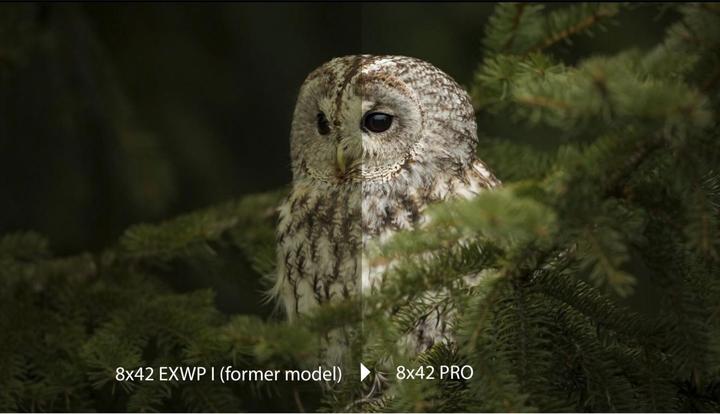 Actual product image Olympus PRO 8x42 (8 x, 42 mm)