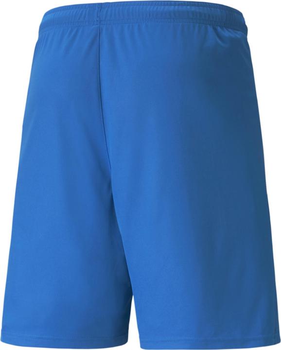 Actual product image Puma teamLIGA Shorts-704924 (M)