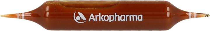 Produktbild Arkopharma Arkofluide Bio Booster Grüner Tee Grüner Kaffee Guarana Mädessüss Ampullen (1 Stück, Ampulle, 513 g)
