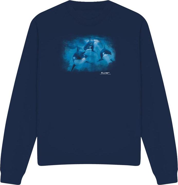 Produktbild Wild Wings Pod Of Orcas Sweatshirt (L)
