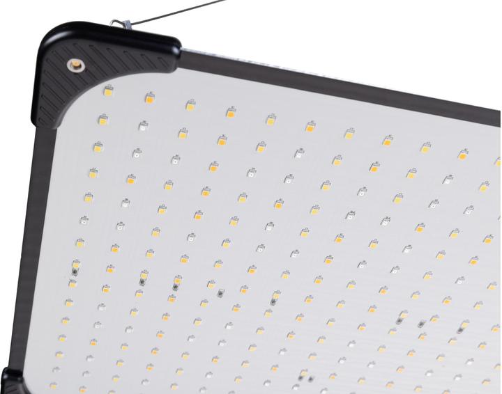 Actual product image FTM Pendant light Plant lamp full spectrum (LED)