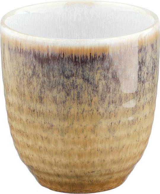 Actual product image Björn Cosmos (150 ml, 6x)