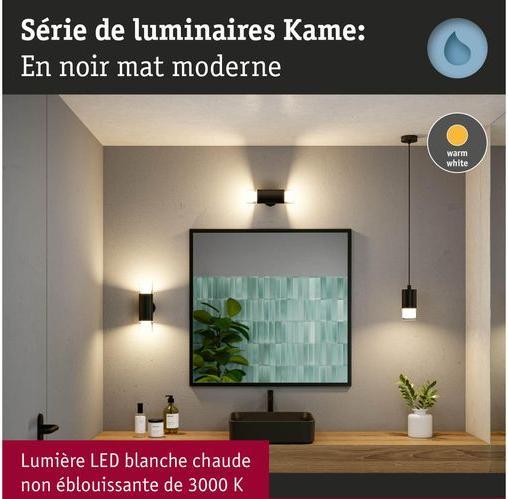 Image du produit Paulmann Badleuchte Kame (1240 lm)