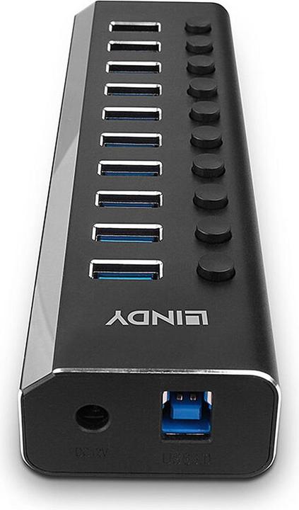 Actual product image Lindy 10 Port USB 3.0 Hub with On/Off Switches Connect up to 10 USB Devices (USB-C, 10 Ports)
