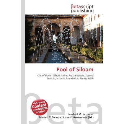 Pool of Siloam, Fachbücher