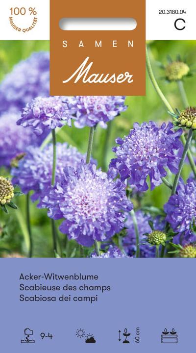 Samen Mauser Acker-Witwenblume (Blumensamen)