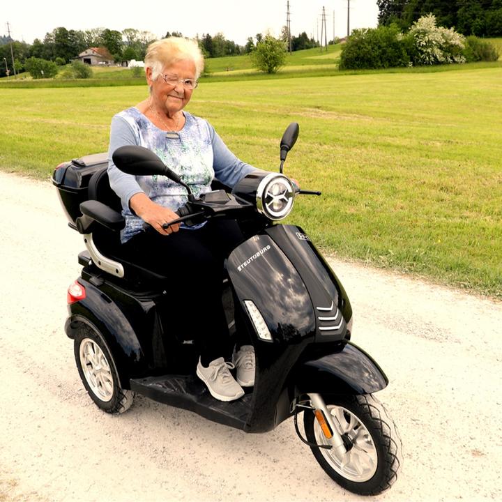 Actual product image SPC Aurea (20 km/h, 800 W)