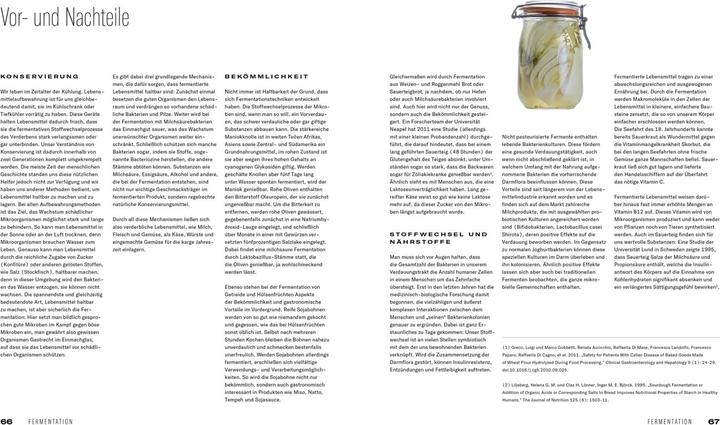 Actual product image Fermentation (German, Heiko Antoniewicz, 2021)