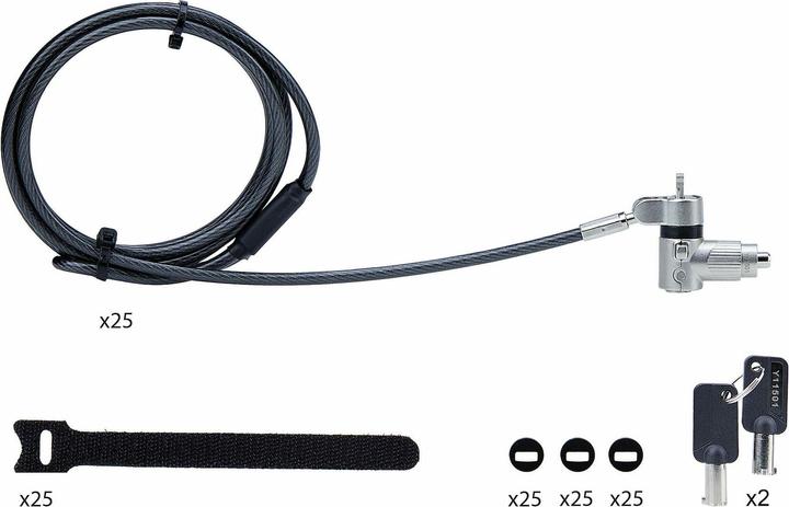 Productafbeelding StarTech COM 25-Pack Universele Laptopsloten 2m Hoofdsleutel Veiligheidsslot Noble Wedge/Nano/K-Slo