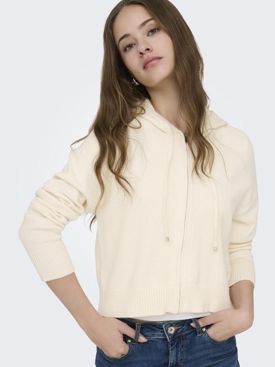 Produktbild Only ONLKATIA Kapuzenpullover Kapuzenpullover (L)