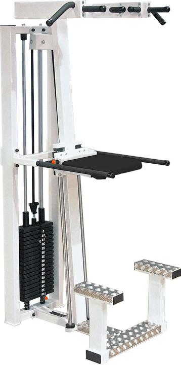 Sport-Thieme Klimmzug- und Dipstation SQ