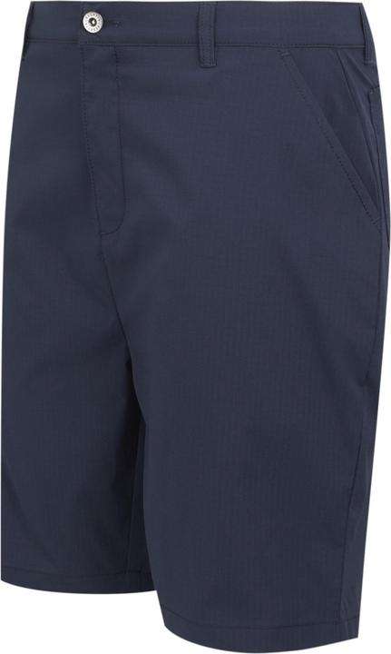 Actual product image Regatta Mens Dalry Multi Pocket Shorts (Frequency band 38 (2600 MHz))