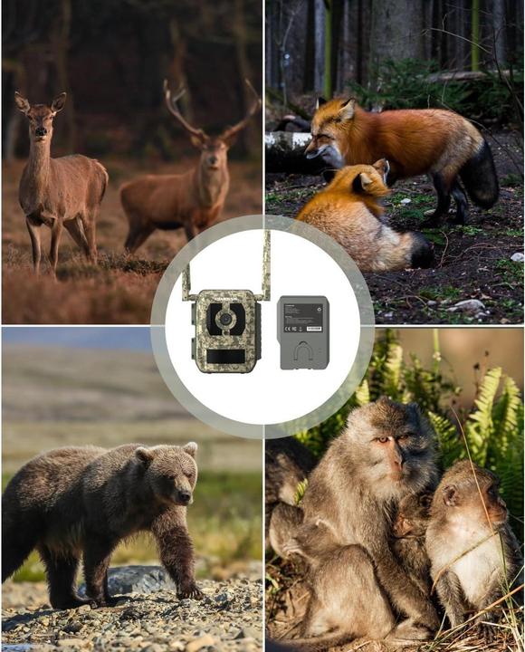 Actual product image Reolink Webcam Camovue Lithium Battery Pack