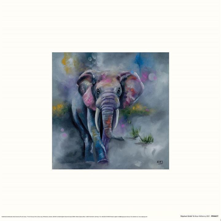Actual product image Alison Mcilkenny Printed Elephant Stride (30 x 30 cm)