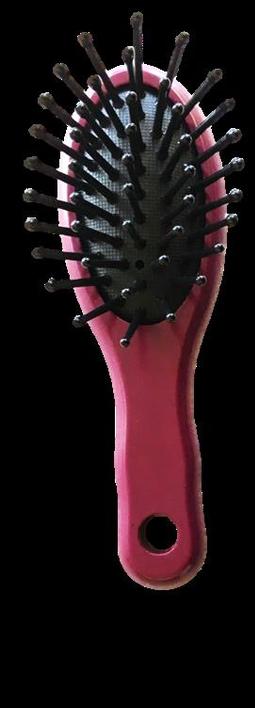 Image du produit Herba Brosse de sport