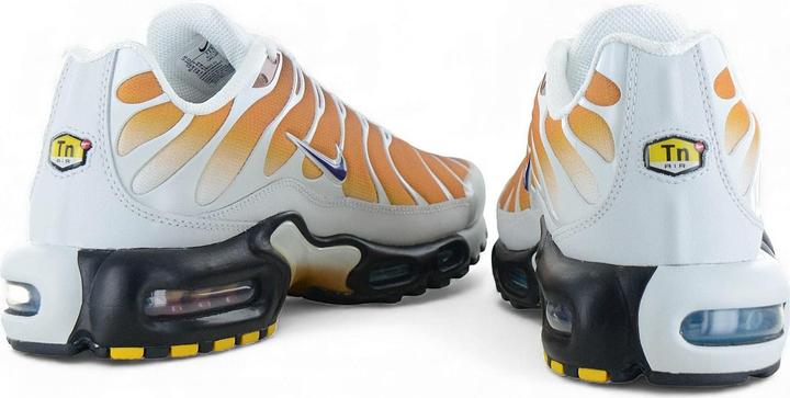 Image du produit Nike Air Max Plus One Block Down (43)