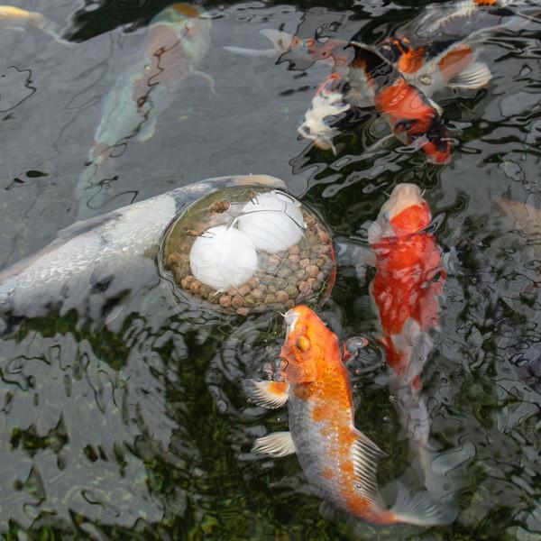 Produktbild SuperFish Koi Toy, Produktart: Futterautomat