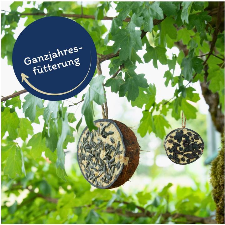 Immagine prodotto Lyra Pet Metà cocco ripieno (10 x, 0.30 kg)