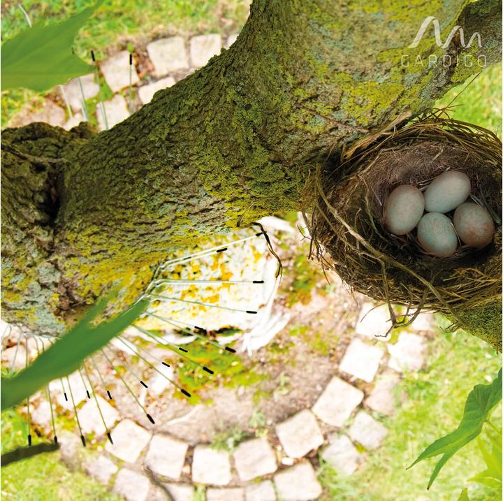 Actual product image Gardigo Cat repellent belt