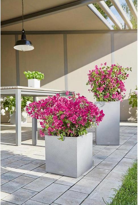 Image du produit Lechuza Canto Color Cube (30 x 30 x 30 cm)