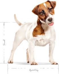 Produktbild Royal Canin Mini Adult - 4 Kg (Adult, 4000 g)