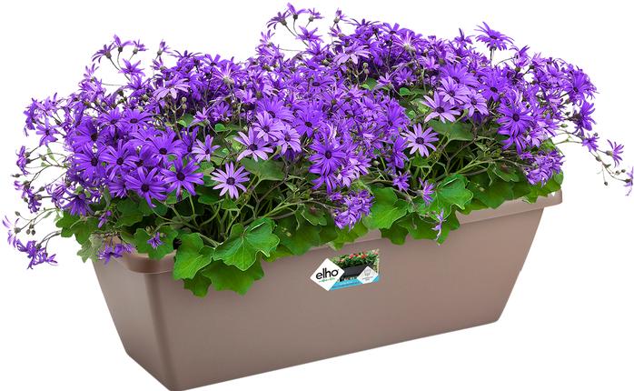 Produktbild Elho Barcelona (20 cm)