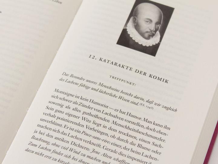 Produktbild Von der Lust, auf dieser Erde zu leben (Deutsch, Michel de Montaigne, 2015)