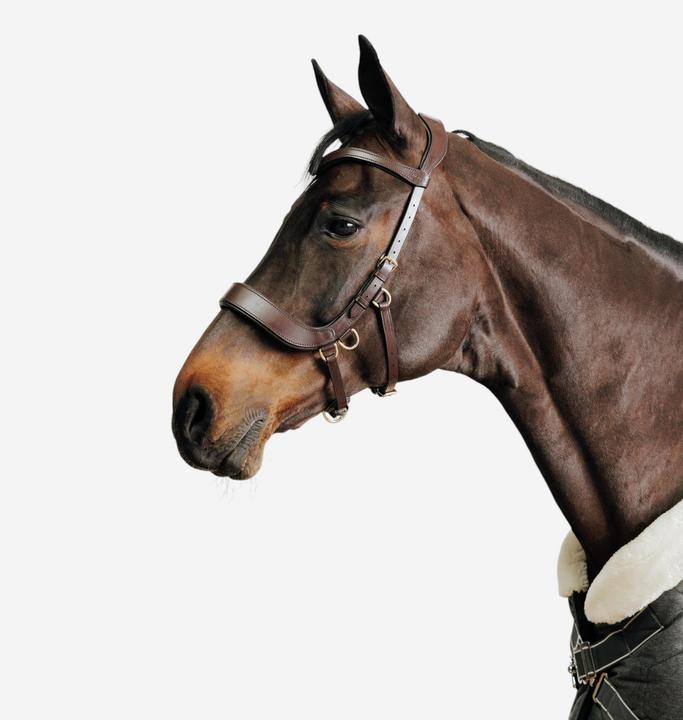 Produktbild Fouganza Gebisslose Trense Pferd/Pony braun